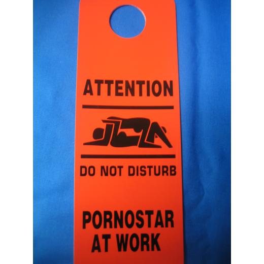 Pornostar at Work (Türschild)