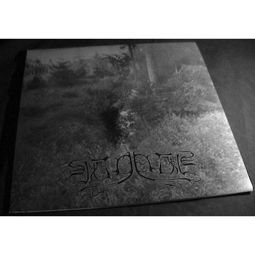 Veineliis - Strained Movements Towards Imminent Death LP