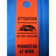Pornostar at Work (Türschild)